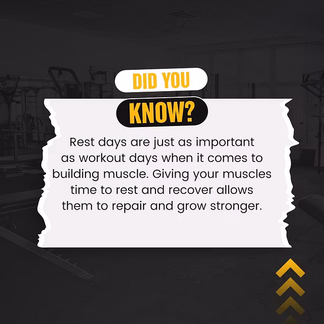 Creator Niche Playbook