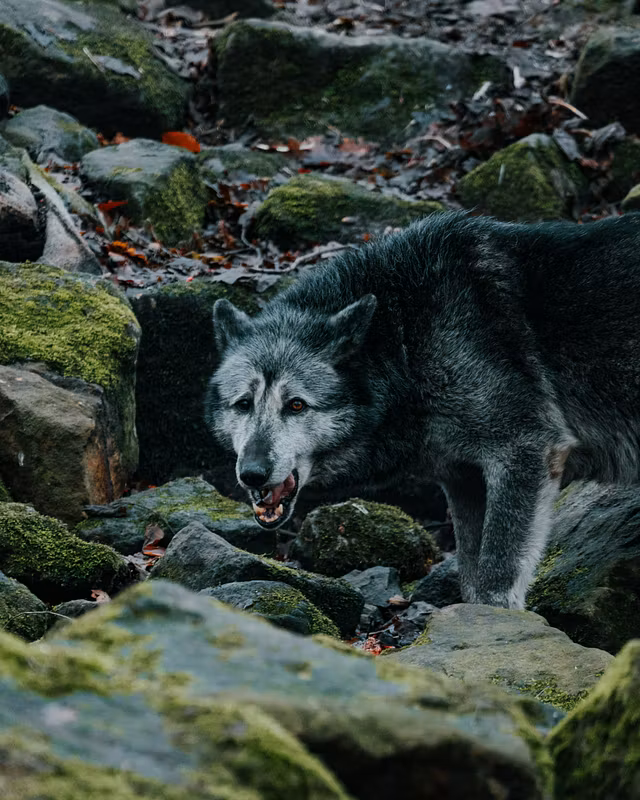 How to sell with confidence 