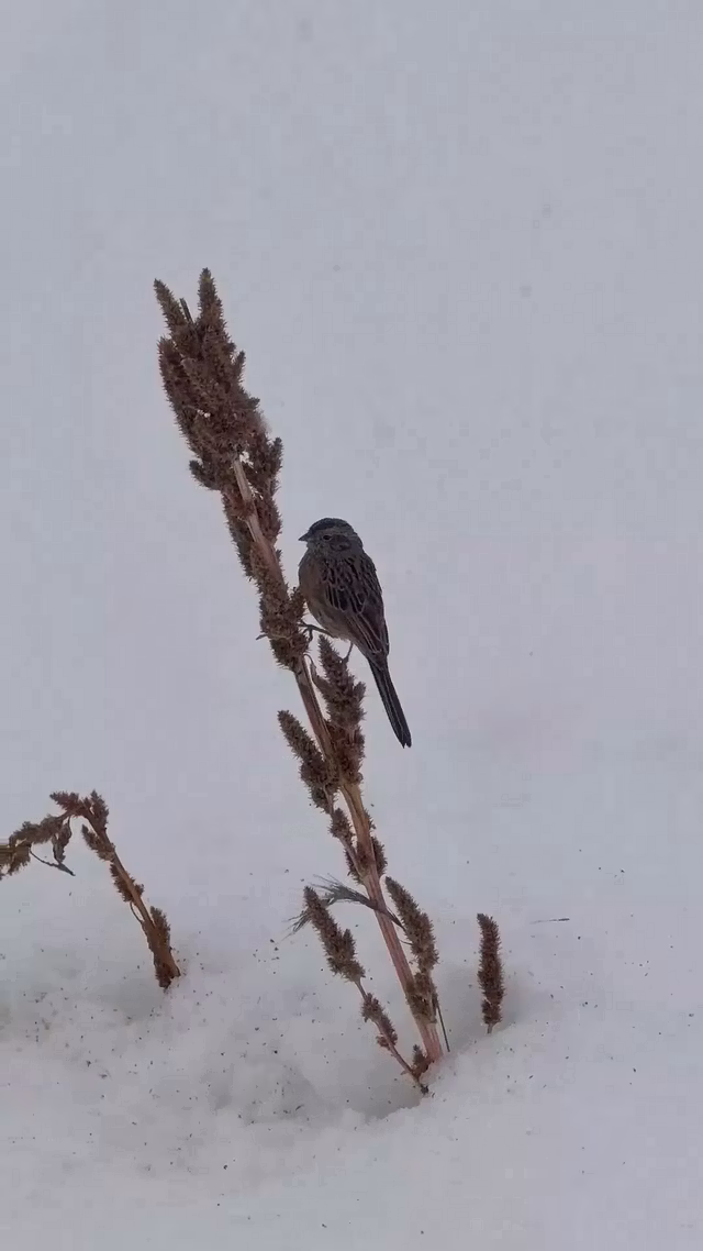 capture every best moment 