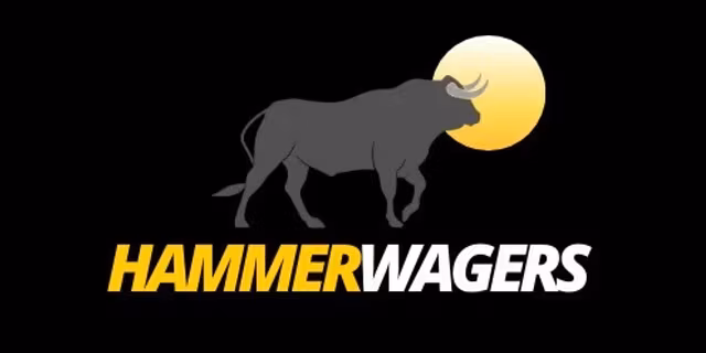 Hammer Wagers Pro