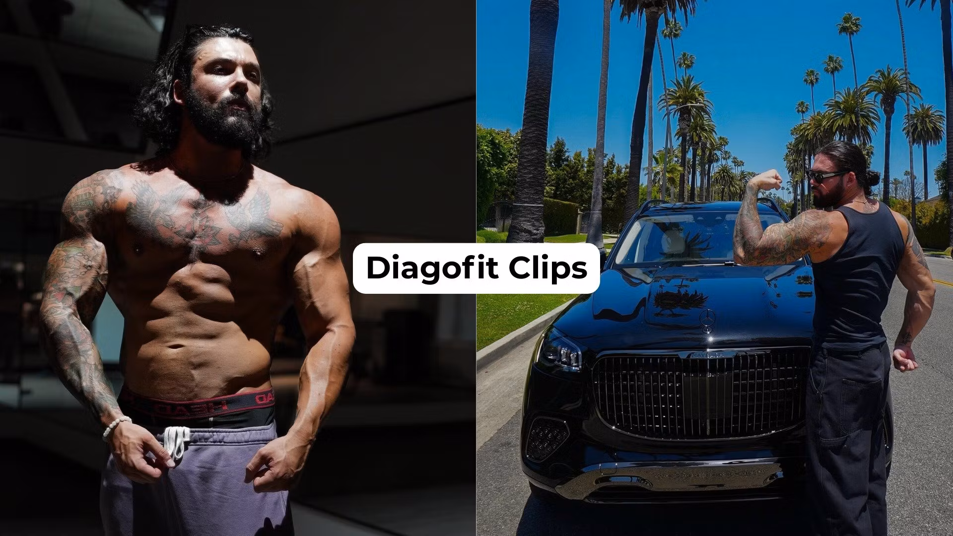 Diagofit Clips