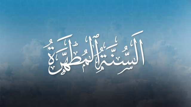 Purified.Sunnah Brothers