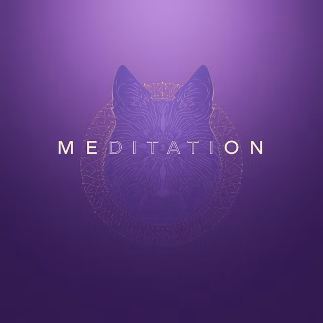 Baie de Sunet, Chat & Booking