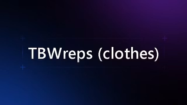 Designer Clothes Vendor