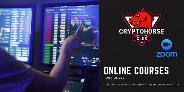 CryptoHorseClub Mentorship