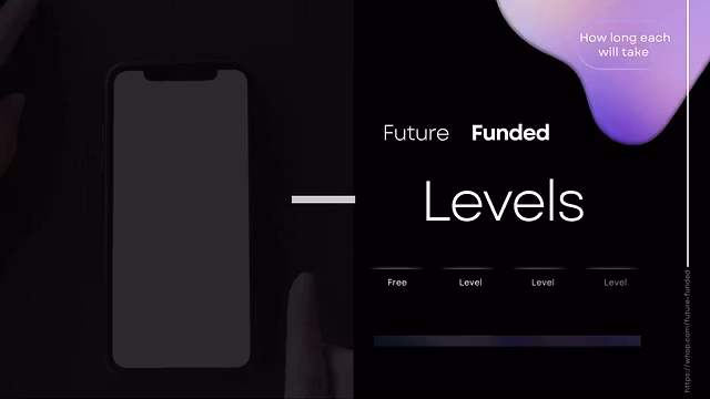 Level 2(medium/$1,000-$10,000)