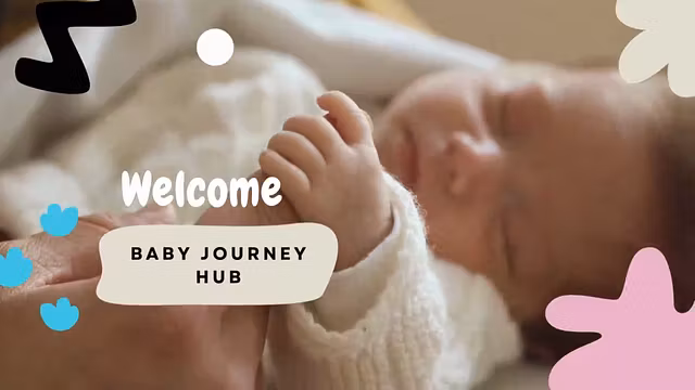 Baby Journey Hub