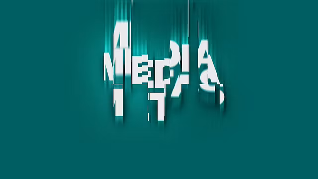 Media Metas