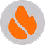 FORGE ACO