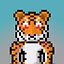 Tiger Worlds