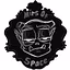 Mirs Of Space