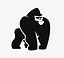 Traders Foundation Group