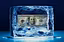 Iced Capital Trading Group