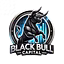 Black Bull Capital