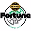 Fortune Flow VIP