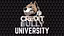 Bully University 
