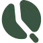 Qafana