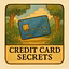 Credit Card Secrets