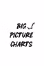 Big Picture Charts