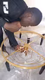 Bleck électricien 