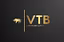 VTB INDICATORS
