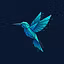 Birdie Digital Hub