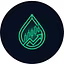 DripsPips