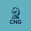 Clipper Network Germany (CNG)