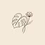 Root & Bloom