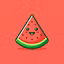Coco Melon Vidz