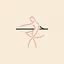 The Barre Collective
