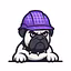 Bulldogs Consulting