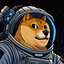 Doge-1 Clips