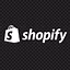 Dropshipping Hustler