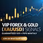 Forex master news