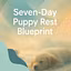 7 days: Calm Puppy Blueprint