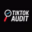 Tik Tok Audit