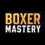 BOXER MASTERY ONLINEKURS