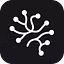 Ghostlive Inc