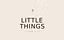 The Little Things Co.