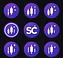 Signal Craft AI
