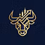 Bullrun Bureau