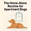 Routine for Apartment Dogs