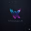 VisonaryX dsgzd