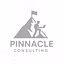 Pinnacle Consulting International