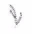 Nummu Academy by Nawal Fagir