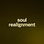 soul realignment 