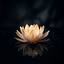 Downloadable Series — Spirituality