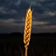 Downloadable Series — Agriculture