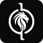 BlockPhi